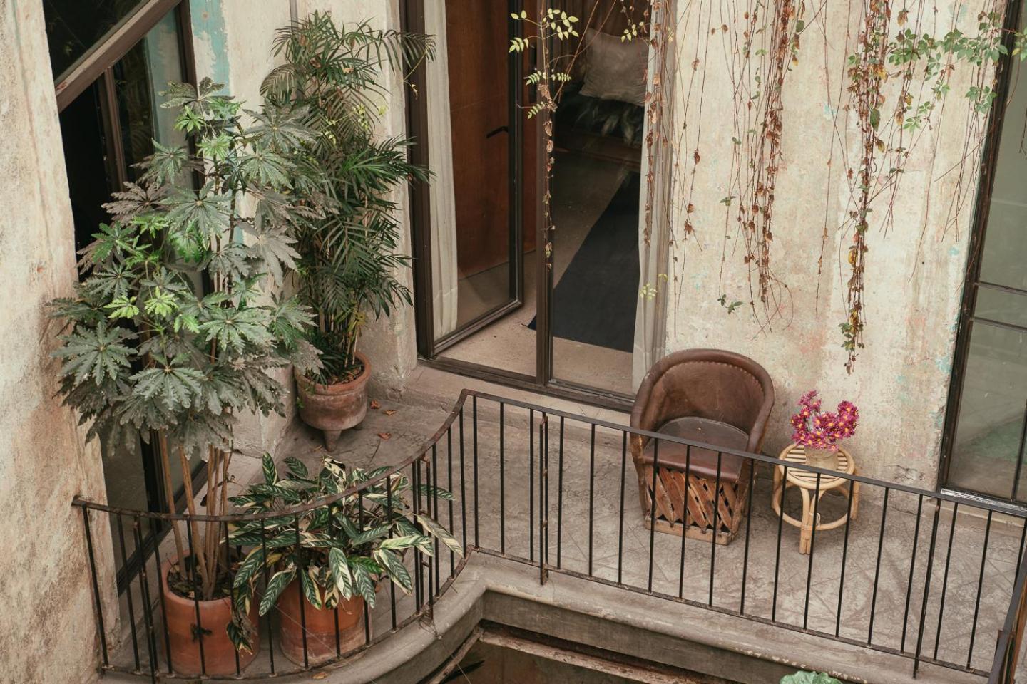 Guest Rooms Jardin Prim — Photos 1